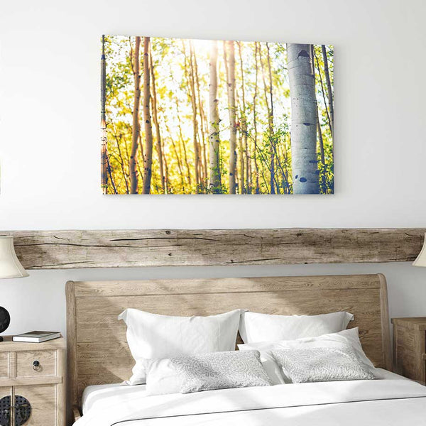 Aspens in Summer - Aspen Tree Wall Art | Art Bloom Canvas Prints