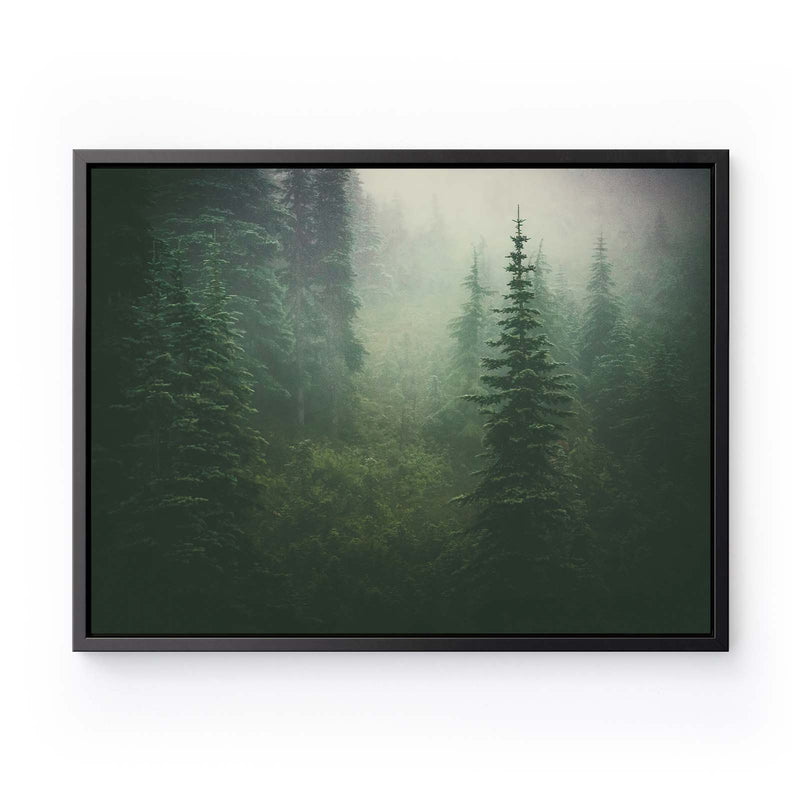 Hurricane Ridge - Forest Canvas Wall Art | Art Bloom Canvas Prints